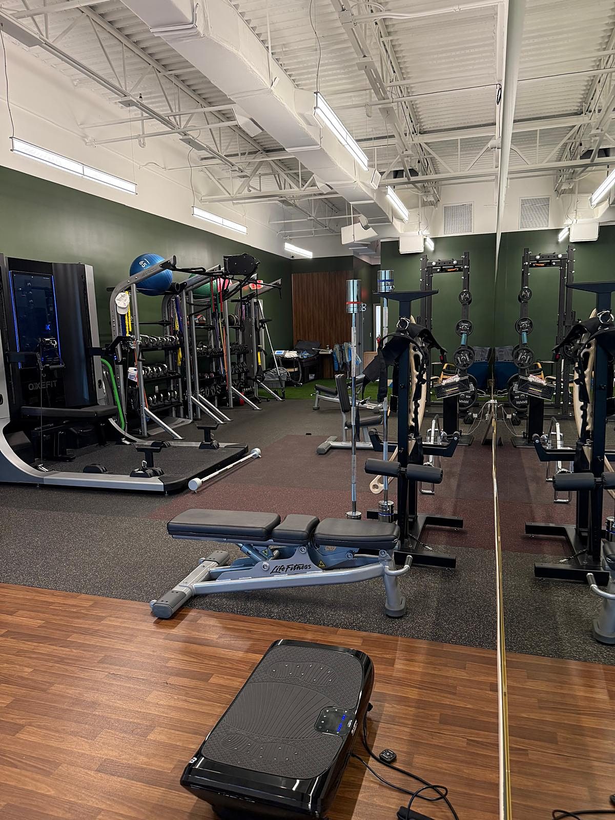 The private gym at Vytara: the OxeFit system, free weights, benches, and a mirrored training wall